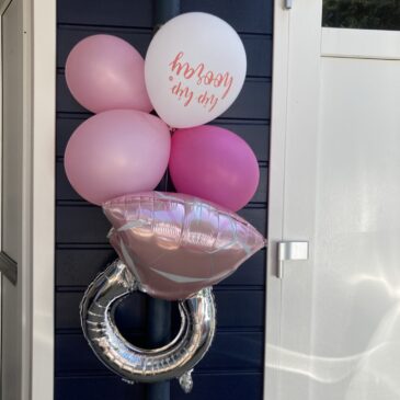 Verjaardagsfeest Shirley