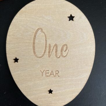 One year 02/03/2025-2026