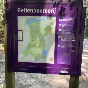 Amsterdamse bos 15/07/26
